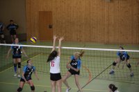 Damenfinale: UAB1-volley16