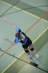 Damen: UAB1-volley16