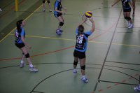 Damenfinale: UAB1-volley16